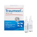 TRAUMEEL LT ad us.vet.Ampullen