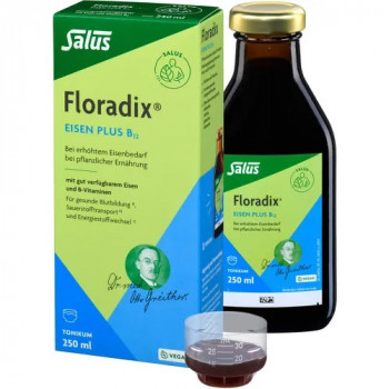 FLORADIX Eisen plus B12 vegan Tonikum