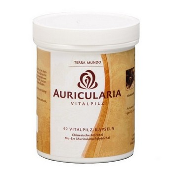 AURICULARIA VITALPILZ Bio Terra Mundo Kapseln