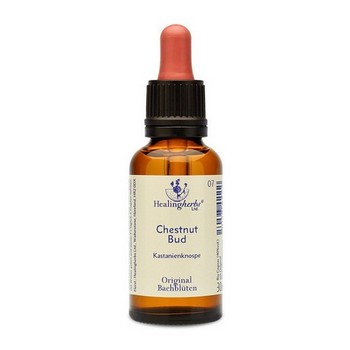 BACHBLÜTEN Chestnut Bud Healing Herbs Tropfen