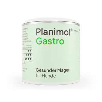 Planimol Gastro Tabletten