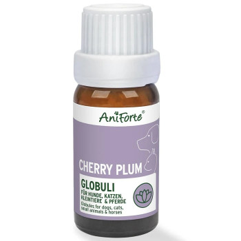 AniForte Bachblüten No.6 Cherry Plum – Gelassenheit